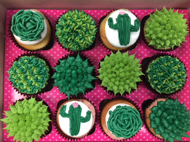 12 Pack Succulent Cupcakes